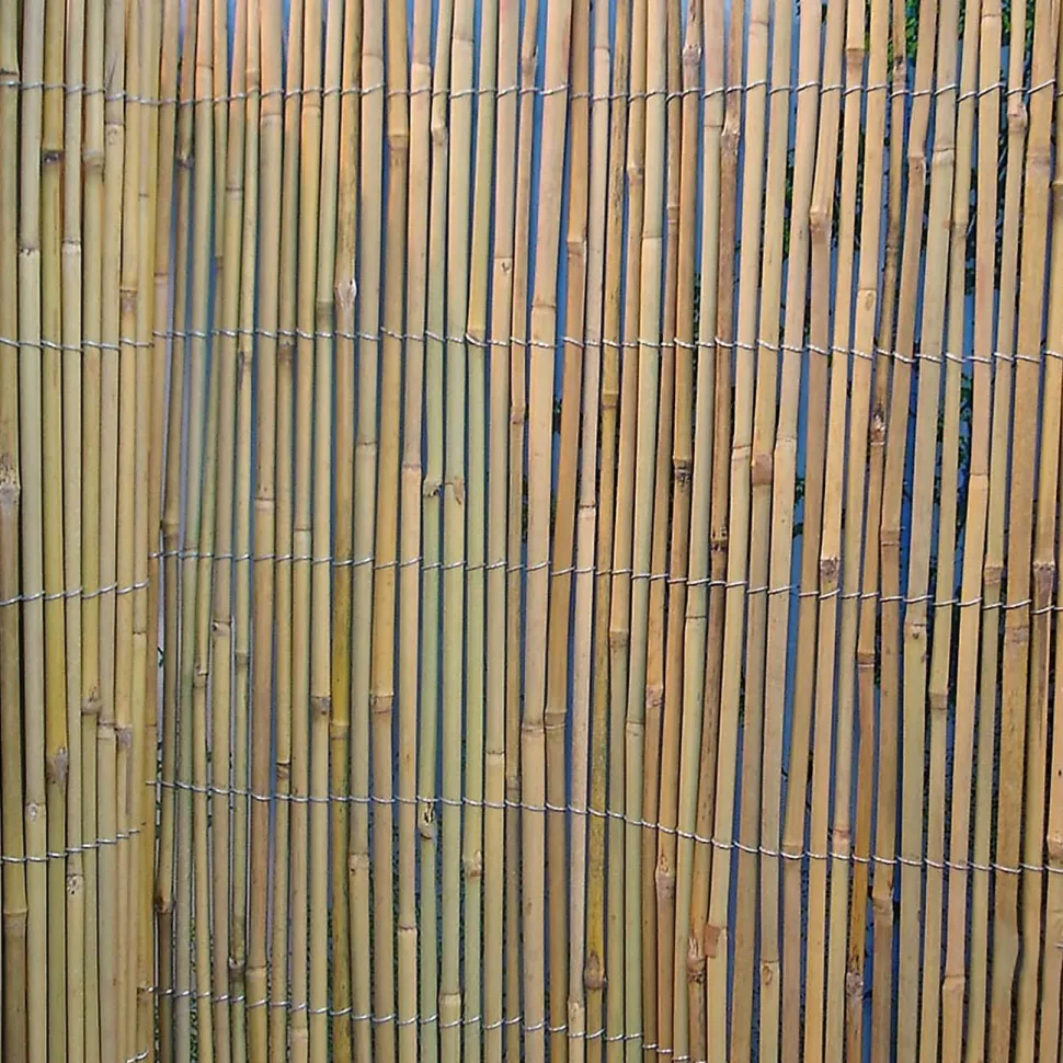 Bambuaita Home4you In Garden 200x500 cm