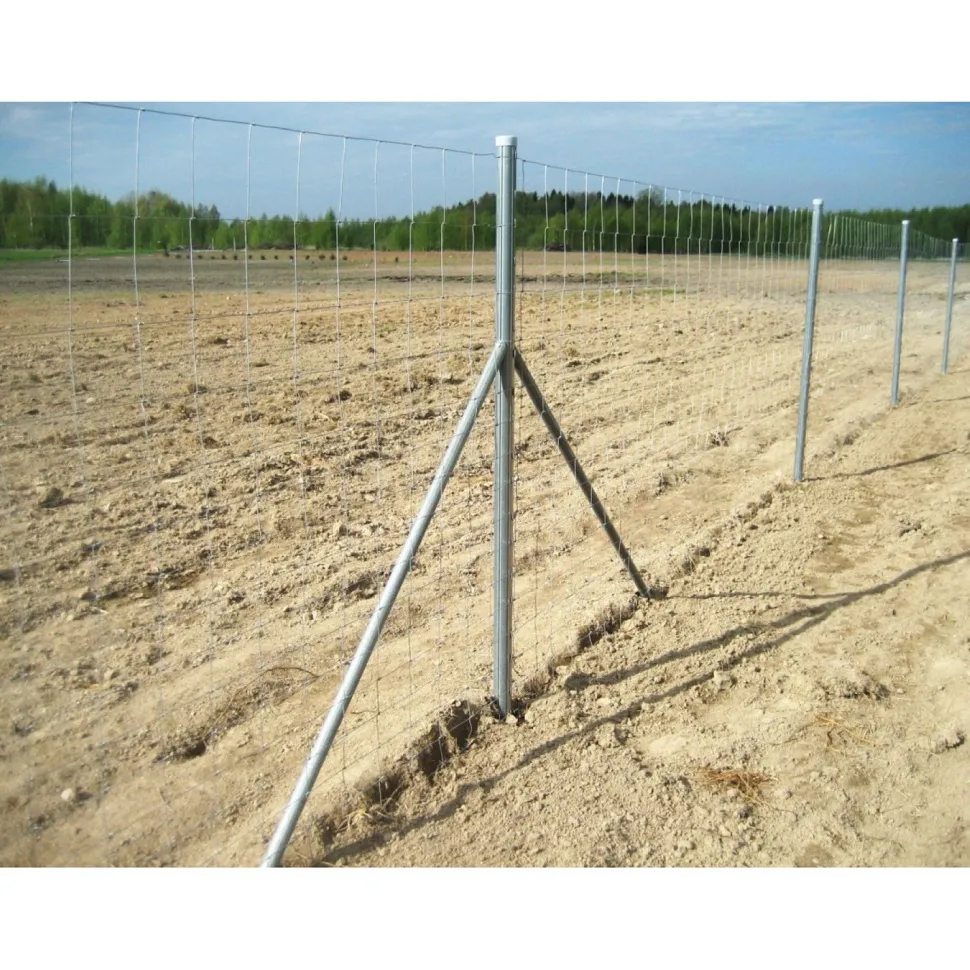 Eläinverkko Zn 1,7x50 m muuttuva silmäkoko