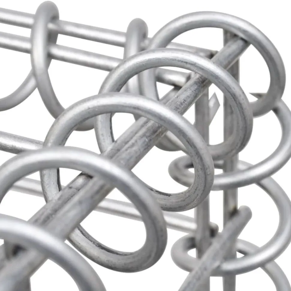 Gabion/kivikori kansilla galvanoitu vaijeri 100x50x30cm