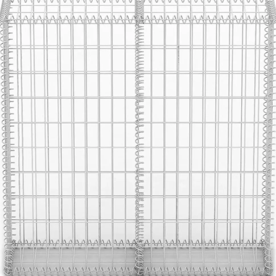 Gabion/kivikori kansilla galvanoitu vaijeri 100x100x30cm