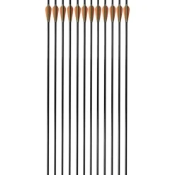 Jousipyssyn nuolet 30