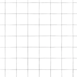 Kanaverkko 25x25mm galvanoitu teräs 10x1.5m hopea