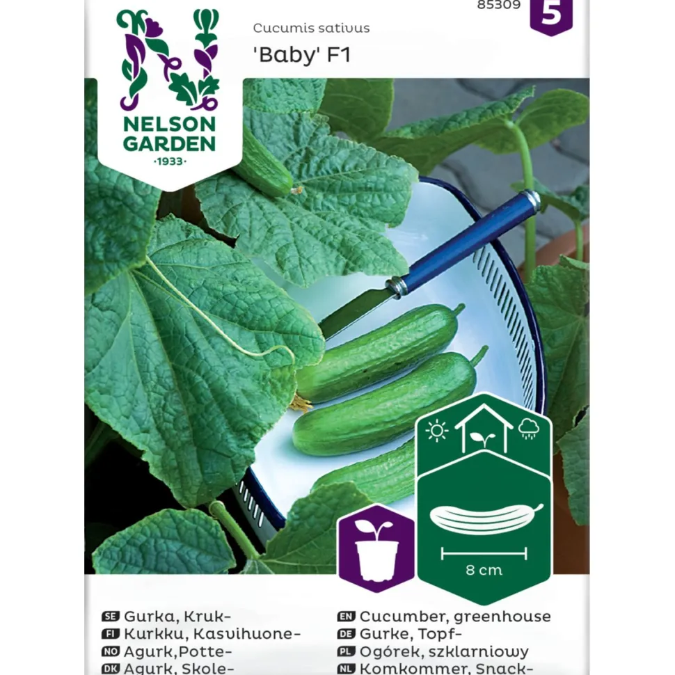 Kasvihuonekurkku Nelson Garden Baby F1, siemenet
