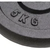 Levypainot, 4kpl, 2x10kg + 2x5kg, valurauta