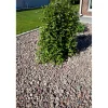 Luonnonkivi Benders 16-40 mm 800 kg suursäkki punaharmaa