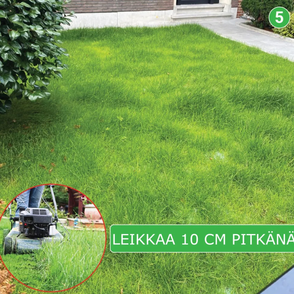Nurmikon siemenmatto Turfquick Skugga, 40 m²