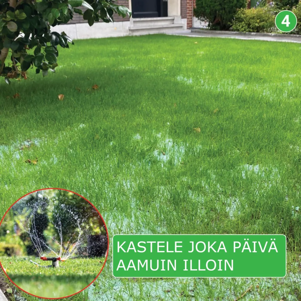 Nurmikon siemenmatto Turfquick Golfgreen, 40 m²