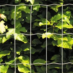Puutarha-aita Hortus 5x10cm 1,2x25m galvanoitu