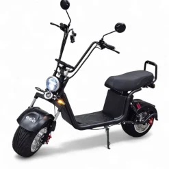 Sähköskootteri E-go Evolution 1000 W musta